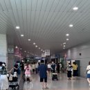 2024 킨텍스 펫페어, 일산 마이펫페어 다녀온 후기