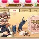 고양이다방