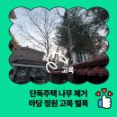 씨유 당진송산타운점 | 단독주택 나무 제거 마당 정원 고목 벌목
