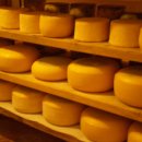 치즈(cheese) 이야기 이미지