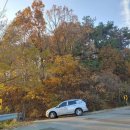 신우민박 이미지