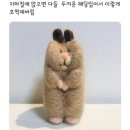 쏠크