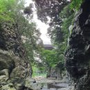 제주머무리 이미지