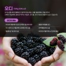 바른야채 이미지