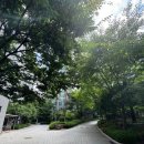 아현중학교 정문앞 이미지