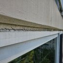 황금파크 이미지