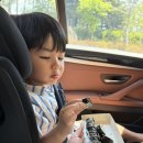 백조어린이집 | 미공개 아인이 일상