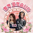 광장콘서트 이미지