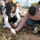 공검초등학교 이미지