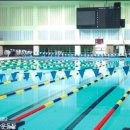 탄천종합운동장 (체육회관) 이미지