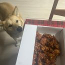양양맛집 양양시장 송이닭강정 솔직후기