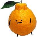 개성있개 이미지