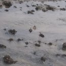 바닷가에서 이미지