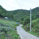 황토마루 이미지