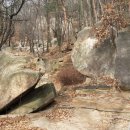 이수산림
