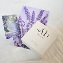 리치바 | 민감한 피부도 순하게 사용하기 좋은 더아본 시카 소프트리치 올인원 바 약산성비누 사용후기