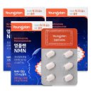 영진양행 이미지