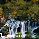산과물 - 하동군 화개로 2-15 | 산과물