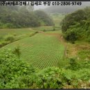 단양군어상천면보건지소 이미지