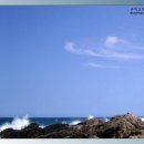 동해파도소리 이미지