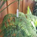 더블라썸플라워샵 이미지