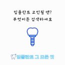 대전 서구 임플란트 치과 163곳 가격 비교 한 눈에 하세요
