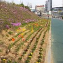 온양2동 온양역길 이미지