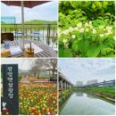 노원체육공원 축구장(신규) | 안양천 봄꽃 구경(feat. 튤립, 매점)