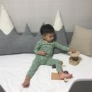 프롬퍼피 이미지