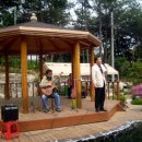 숲속나라 이미지