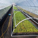 송가네종묘사 이미지