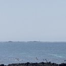 김택화미술관 이미지