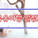 투어투게더여행사 이미지