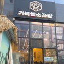 거북섬소곱창