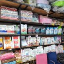 강아지나라 강아지분양 익산점 이미지