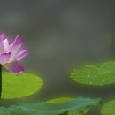 홍연 - 이천시 샘재로 151 | 홍연