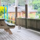 창선농업협동조합 | 남해여행 4탄-편백자연휴양림과 저녁먹방 🌲🌳