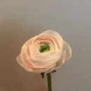 팜팜농장 이미지