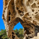 조은사람 이미지