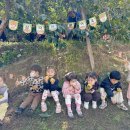 새장유어린이집 이미지