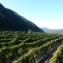 창공농장 이미지