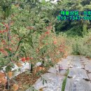 도산면사무소 이미지