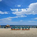 낙산낚시 | 낙산해수욕장 개장 정보 주차장 샤워장 아이와 물놀이 후기