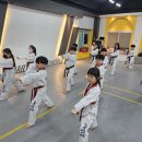 강동태권도 이미지