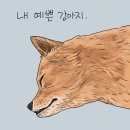 강아지마을2012 이미지