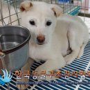 천보산로 이미지