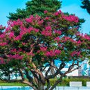 청주대학교 이미지