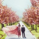 스튜디오 봉 이미지