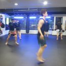 태웅3체육관 이미지