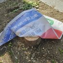 양정로 네이버블로그